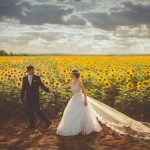 The Best Farm Wedding Venues CT