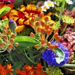 Flower Shop Balgowlah: Bringing Beauty to Your Neighbourhood