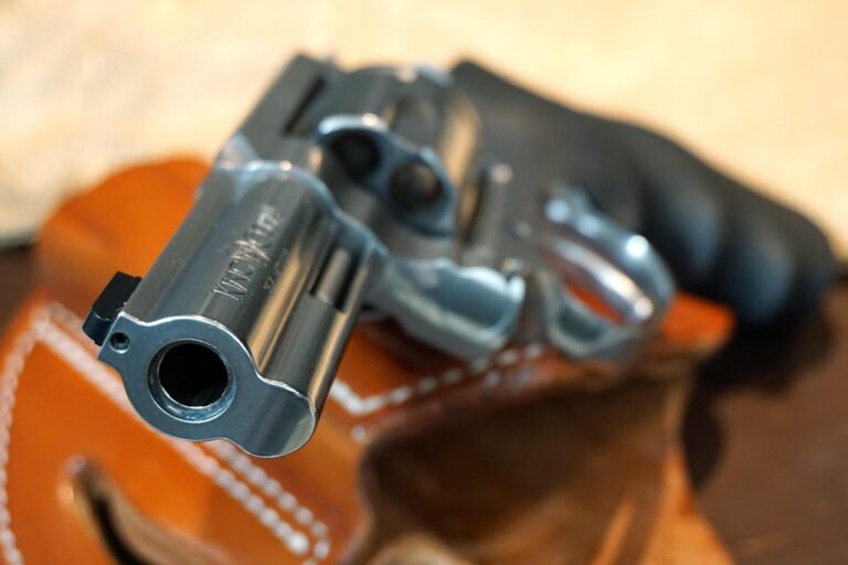 colt-5102478_1280