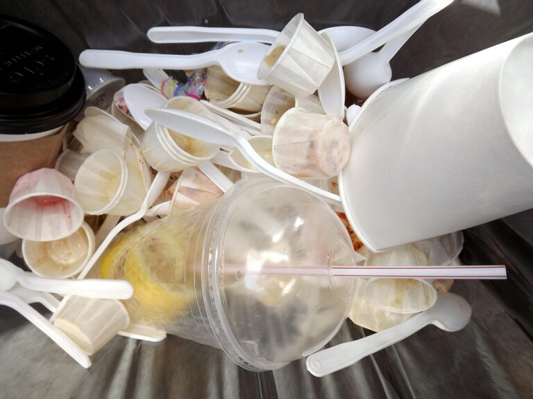 garbage-can-65661_1280