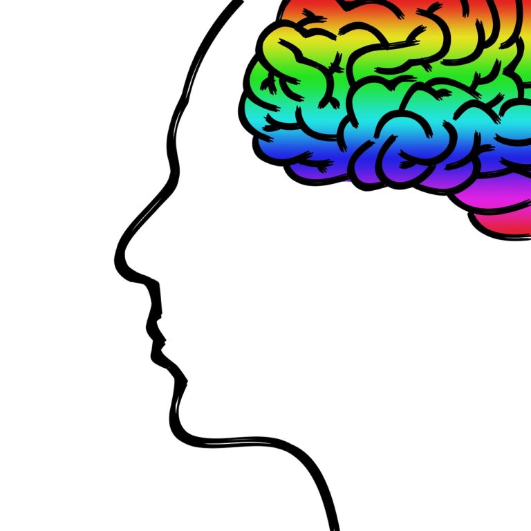 head-1965676_1280