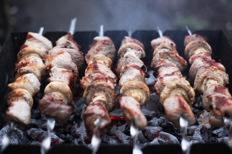 skewer-3342481_1280
