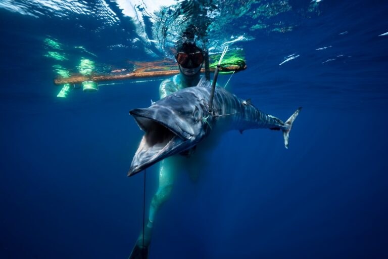 a man is swimming with a shark in the ocean